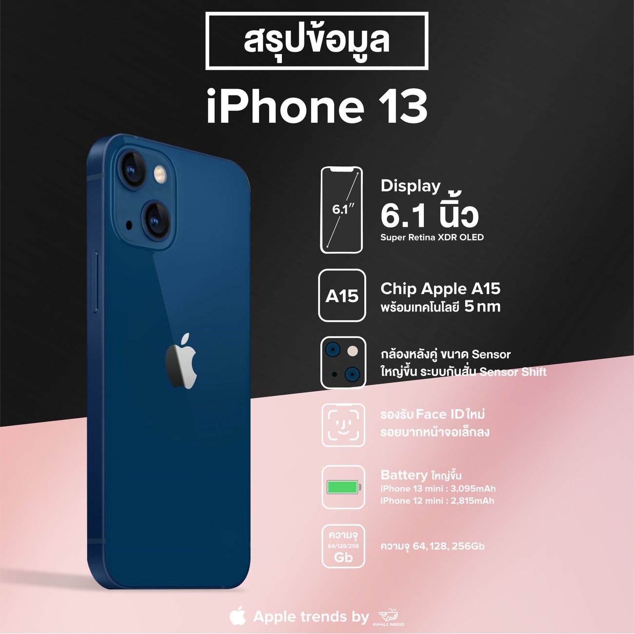 ไปส่องข้อมูล iPhone 13 กัน