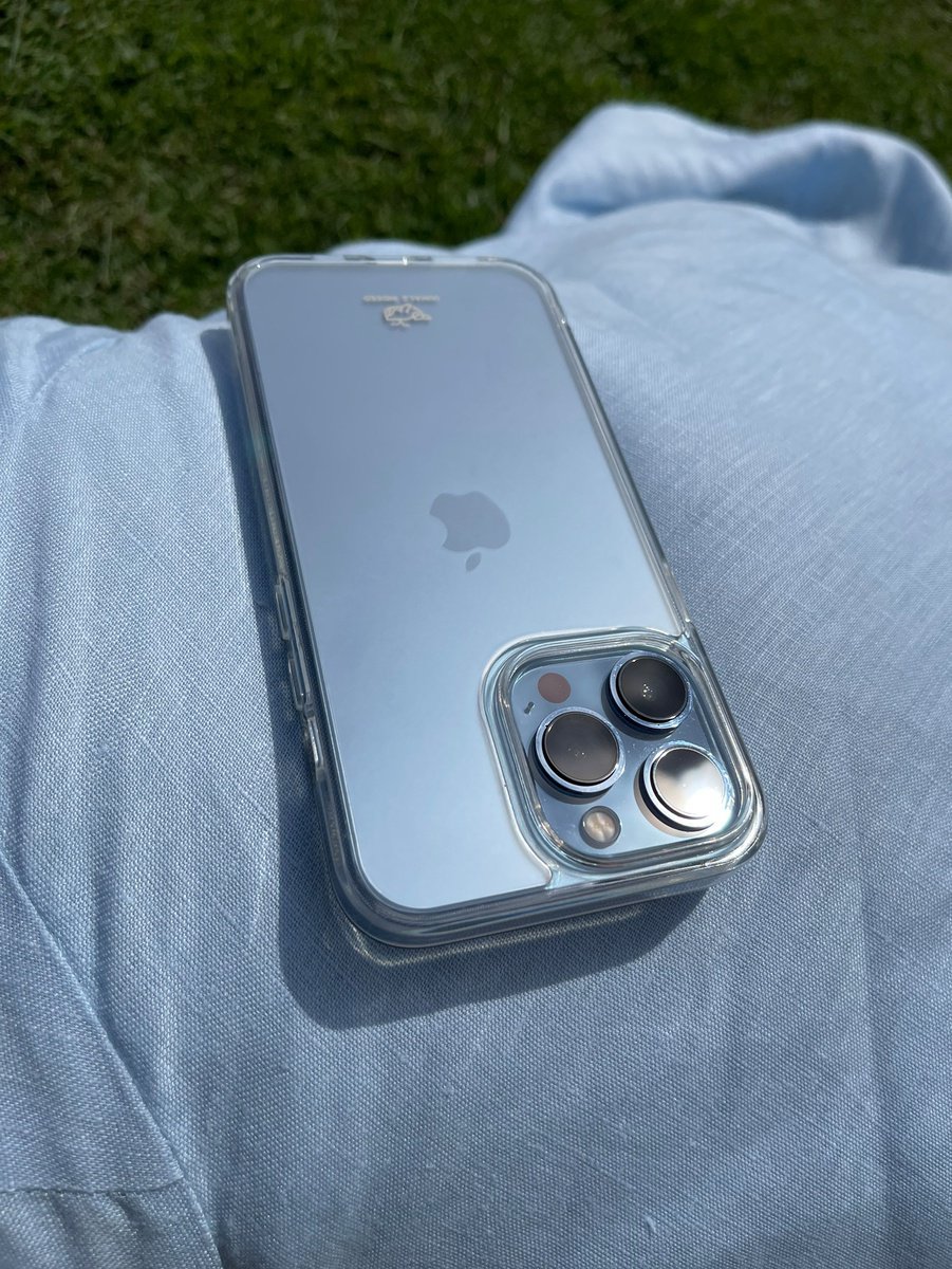 Frosted Ice Case